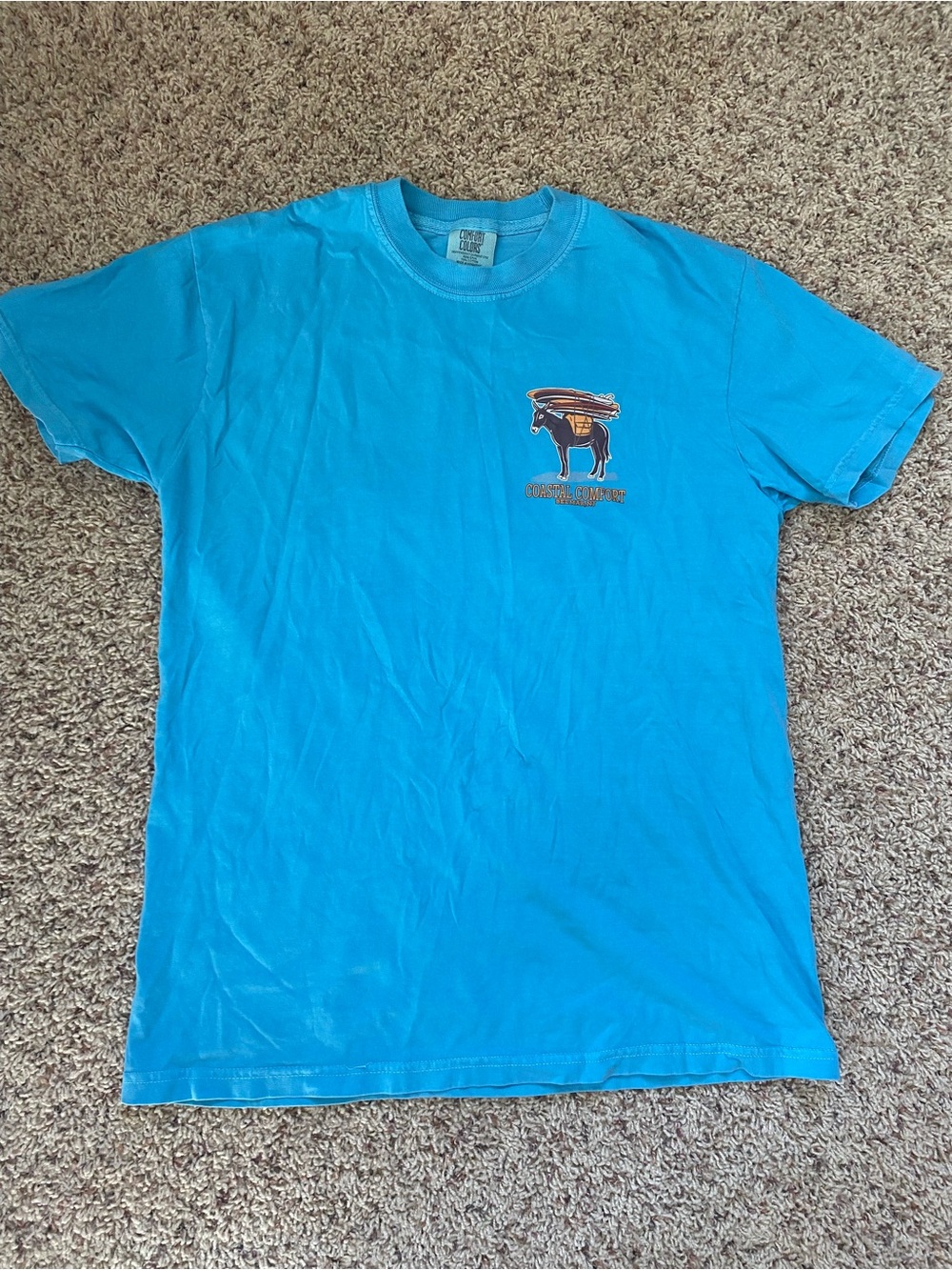 Comfort Colors Bright Turquoise Short Sleeve beach Graphic Tee